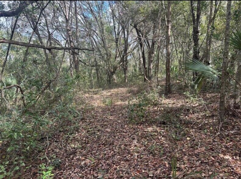 More Photos Of 0 Lake Hiawatha Drive, Lady Lake Land For Sale
