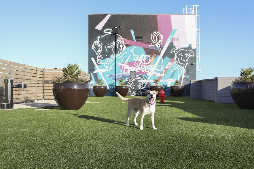 More Photos Of 1100 Webster St, Oakland Apartments For Lease