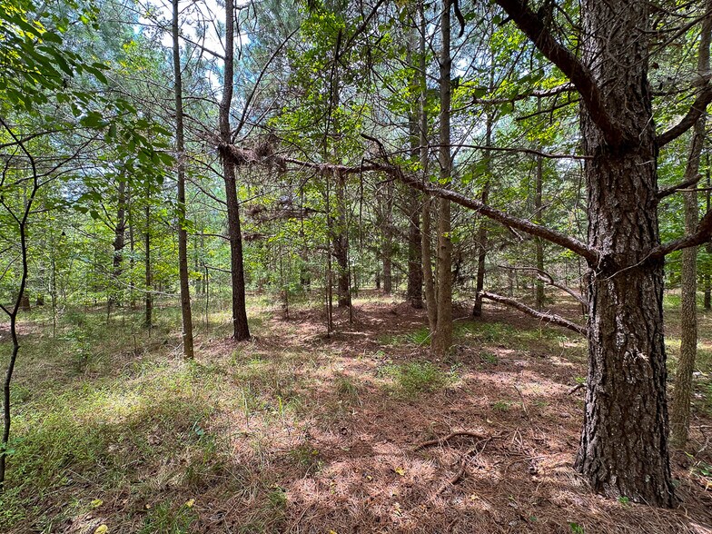 More Photos Of US 401 S Hwy, Youngsville Land For Sale