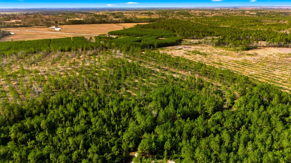 More Photos Of Highway 45, Loris Land For Sale