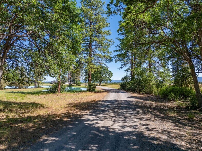 More Photos Of 41494 Gomez Rd, Fall River Mills Land For Sale