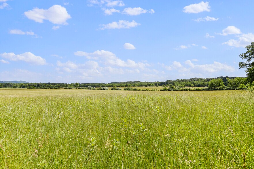 More Photos Of 3648 Dominion Rd, Gerrardstown Land For Sale