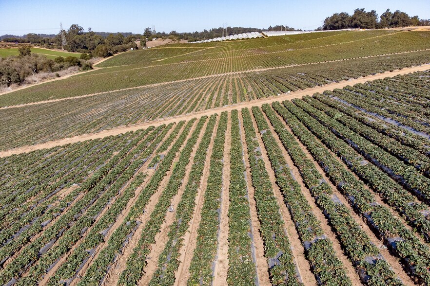 More Photos Of 16475 Blackie Rd, Salinas Land For Sale