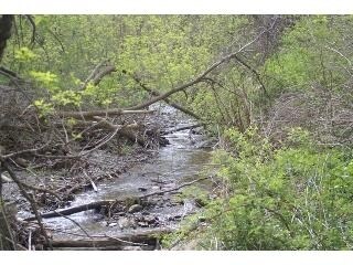 More Photos Of Genesee St, Chittenango Land For Sale