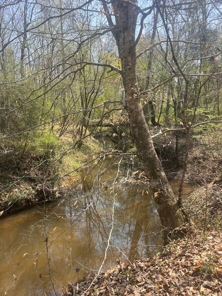 More Photos Of Healing Acres Ln, Carthage Land For Sale