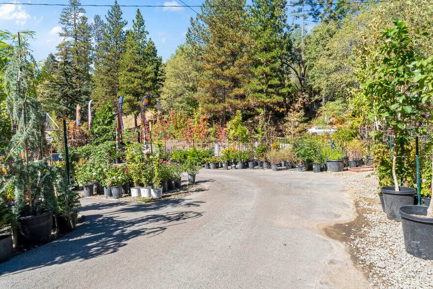 More Photos Of 303 CA-173 Hwy, Lake Arrowhead Garden Center For Sale