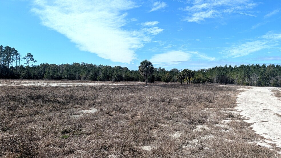 More Photos Of 13550 NW Old Fannin Rd, Chiefland Land For Sale