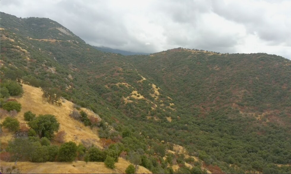 More Photos Of 000 Dunlap Ave, Dunlap Land For Sale