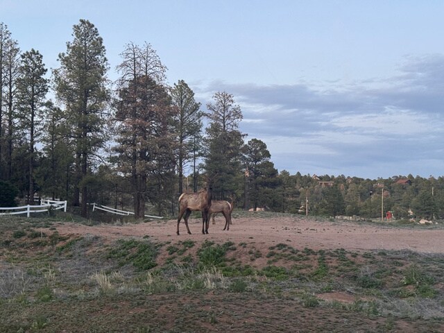 More Photos Of 2216 Mogollon Rim Dr, Overgaard Land For Sale