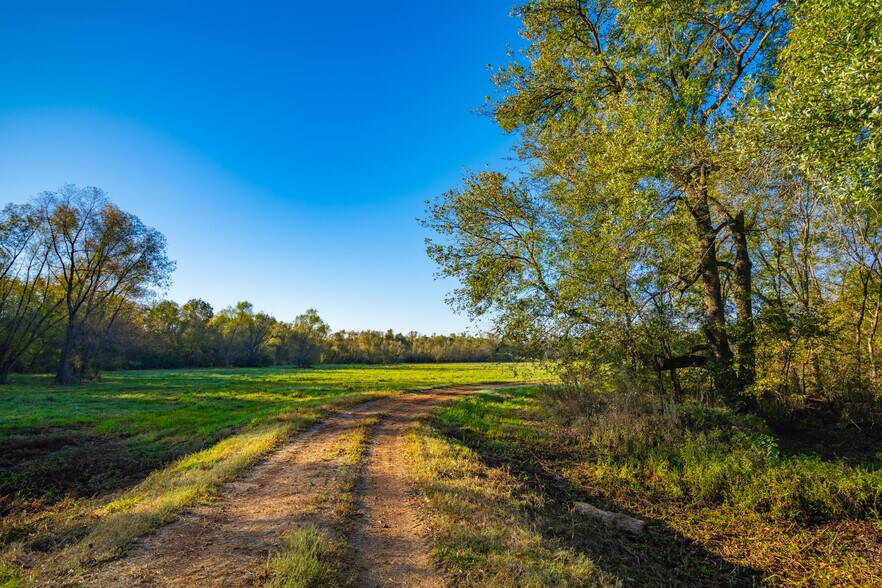 More Photos Of 391 Farm to Market 1519, Scroggins Land For Sale