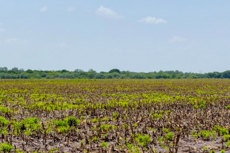 More Photos Of FM 1421 Rd, Brownsville Land For Sale