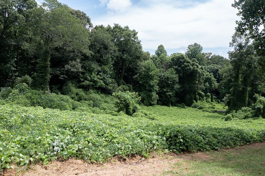 More Photos Of 1562 Central Ave, Demorest Land For Sale