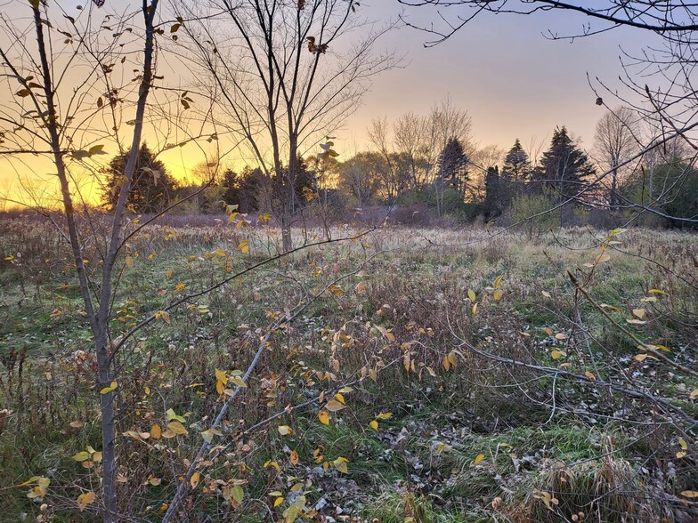 More Photos Of TBD East Broomfield Road, Mount Pleasant Land For Sale