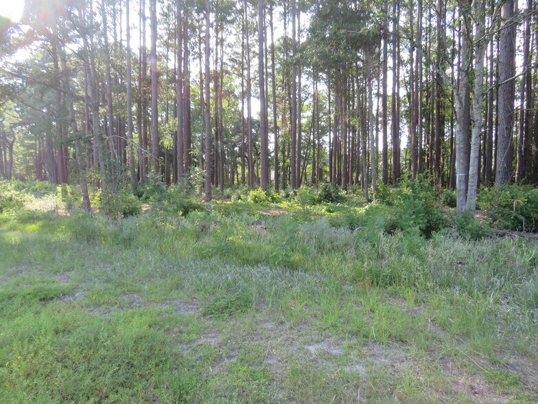 More Photos Of 1901 Hwy. 17 North, Little River Land For Sale