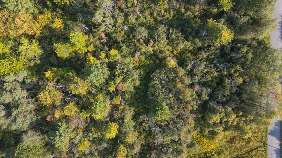More Photos Of 219 Mudge rd, Delanson Land For Sale