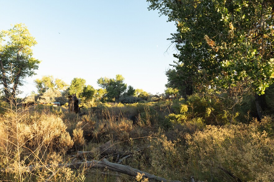 More Photos Of Venturacci Lane, Fallon Land For Sale