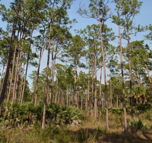 More Photos Of 8425 SW Martin Hwy, Palm City Land For Sale