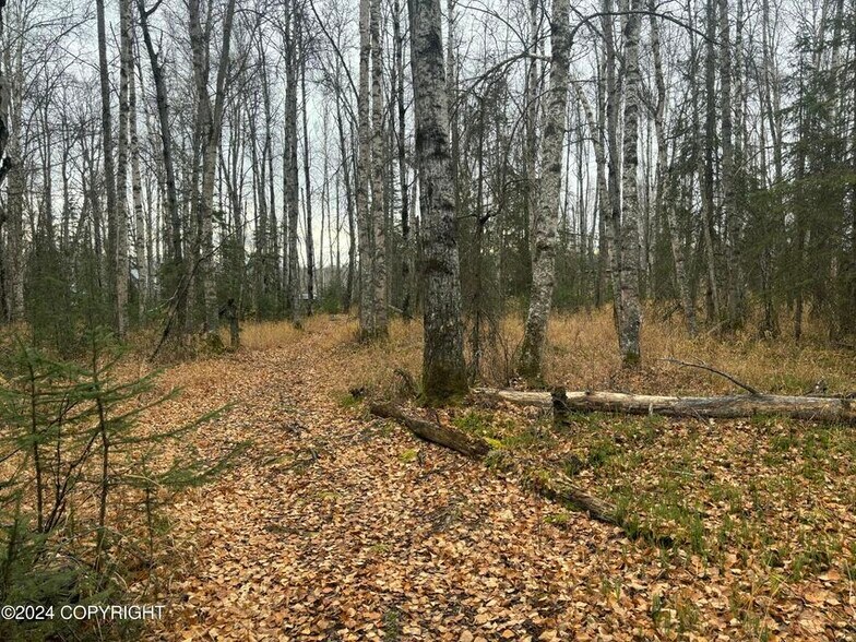 More Photos Of 6129 S Knik Goose Bay Rd, Wasilla Land For Sale