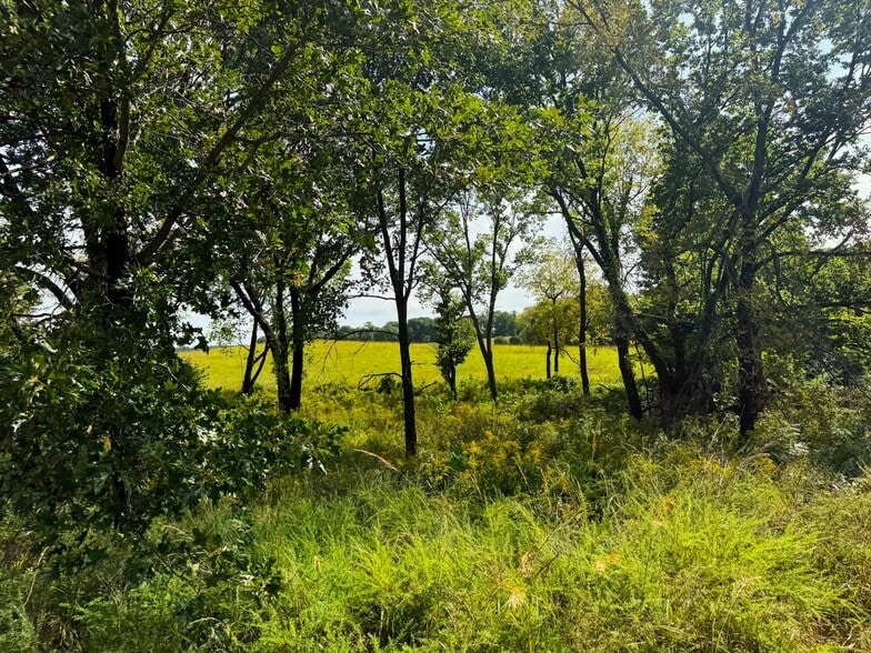 More Photos Of 17840 Golden Rd, Linwood Land For Sale
