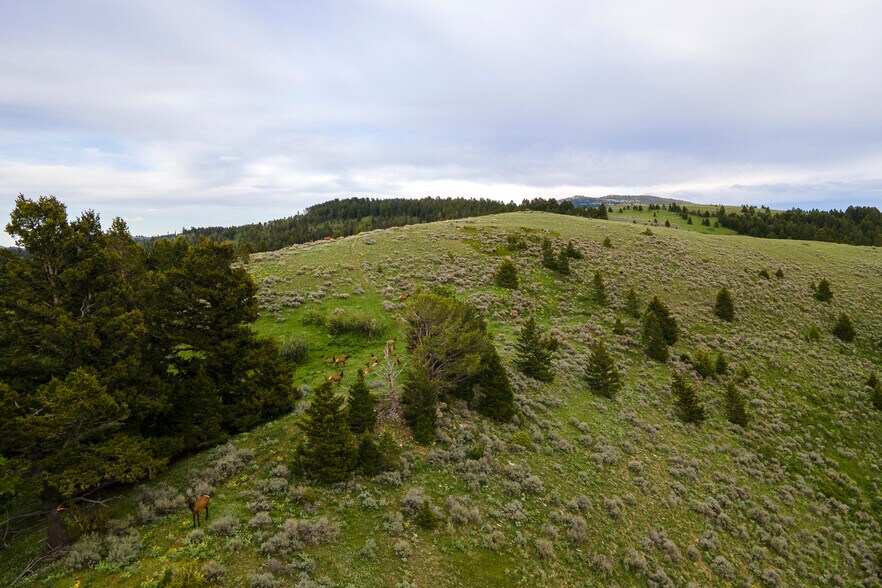 More Photos Of 2 Trail Creek Rd, Bozeman Land For Sale