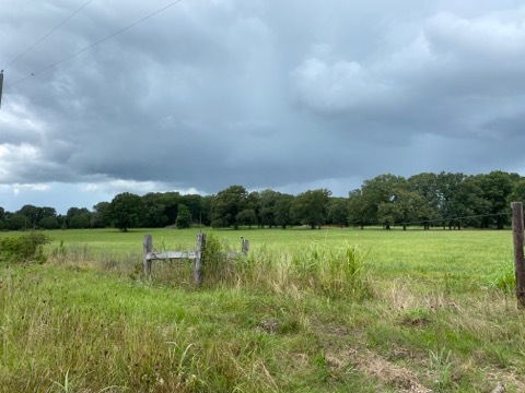 Primary Photo Of 4400 North Frontage Road Rd, Columbus Land For Sale