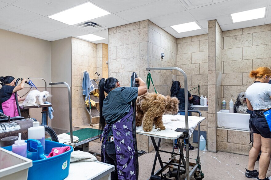 More Photos Of 6909 E Lincoln Dr, Paradise Valley Veterinarian Kennel For Sale