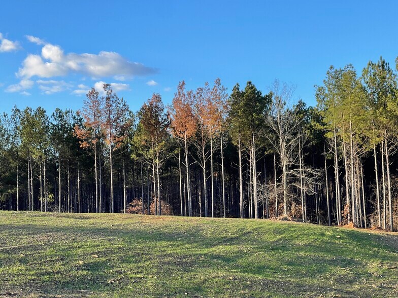 More Photos Of 92 Lillian Strong rd, Carlton Land For Sale