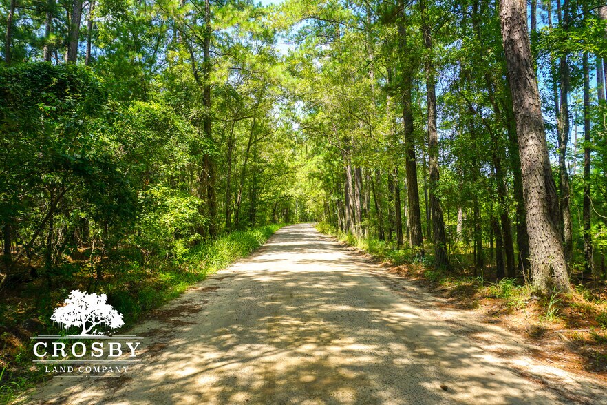 More Photos Of 3009 Lowcountry Drive, Ridgeland Land For Sale