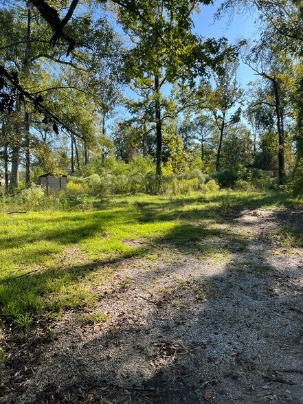 More Photos Of 29960 Henderson Ln, Walker Land For Sale