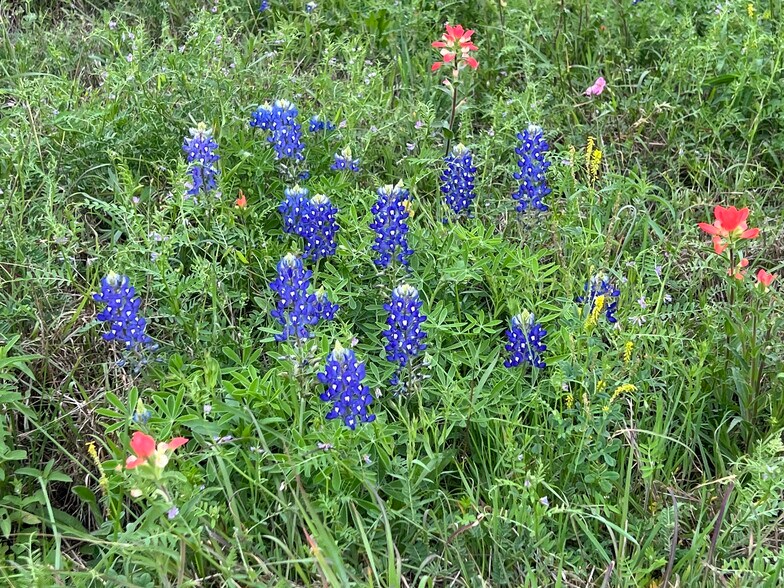 More Photos Of Highway 90A, Shiner Land For Sale
