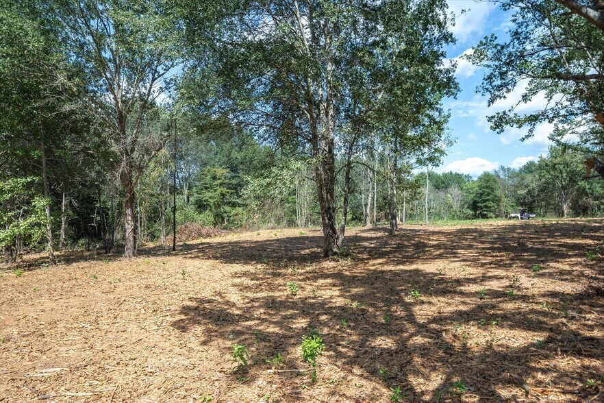 More Photos Of Tract 1 County Road 484, Mineola Land For Sale