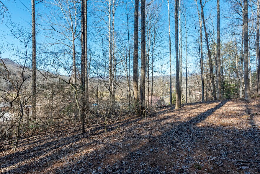 More Photos Of 717 Bat Cave Rd, Old Fort Land For Sale