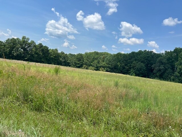 More Photos Of 711 Longtown Rd, Columbia Land For Sale