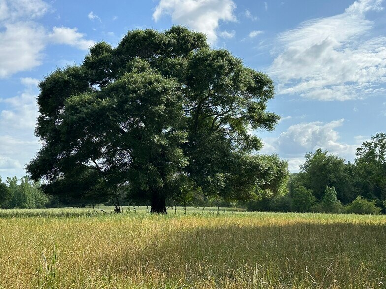 More Photos Of Millside Road, Laurel Hill Land For Sale