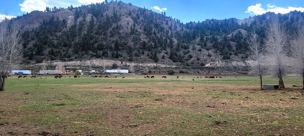 More Photos Of 411 Violet Lane, Eagle Land For Sale