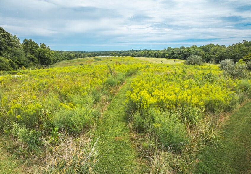 More Photos Of 295 Panthers Den Rd, Makanda Hotel For Sale