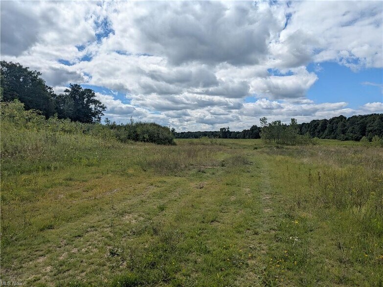 More Photos Of 9019 Sr 45 Rd, Rome Land For Sale