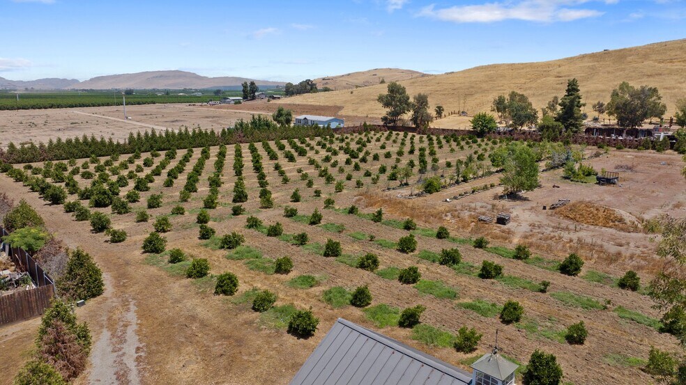 Primary Photo Of 31946 Road 168, Visalia Land For Sale
