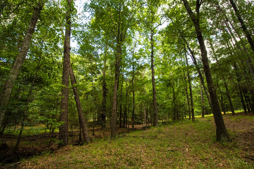 More Photos Of 6817 TX-42, Kilgore Land For Sale