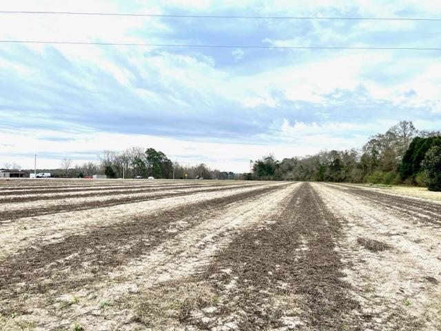 More Photos Of 8291 GA Highway 67, Brooklet Land For Sale
