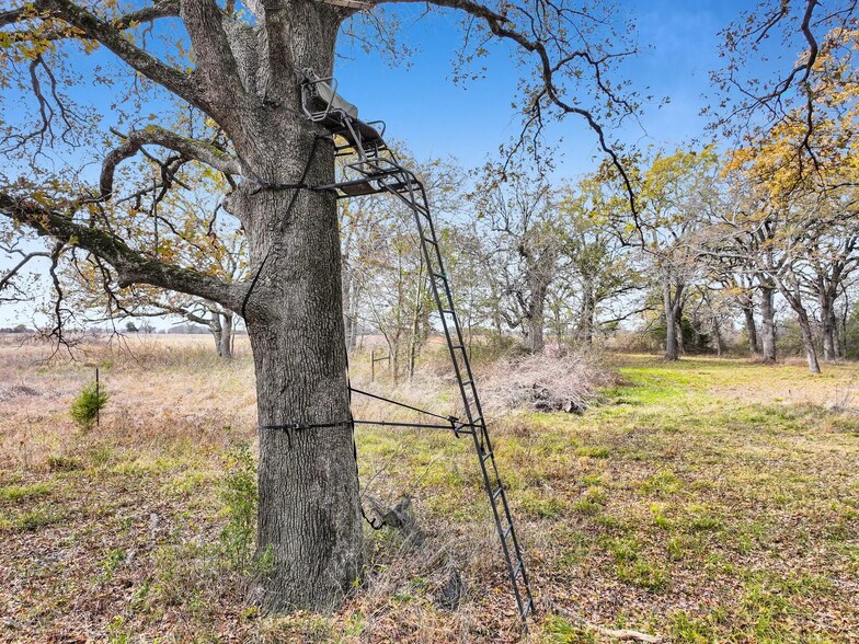 More Photos Of TBA Texas 24S, Klondike Land For Sale