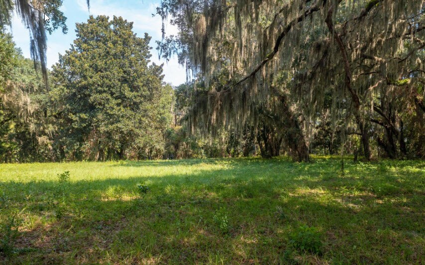 More Photos Of 254 Saint Johns Dr, Palatka Land For Sale