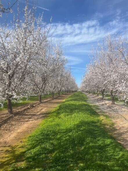 More Photos Of 0 Twin Cities rd, Herald Land For Sale