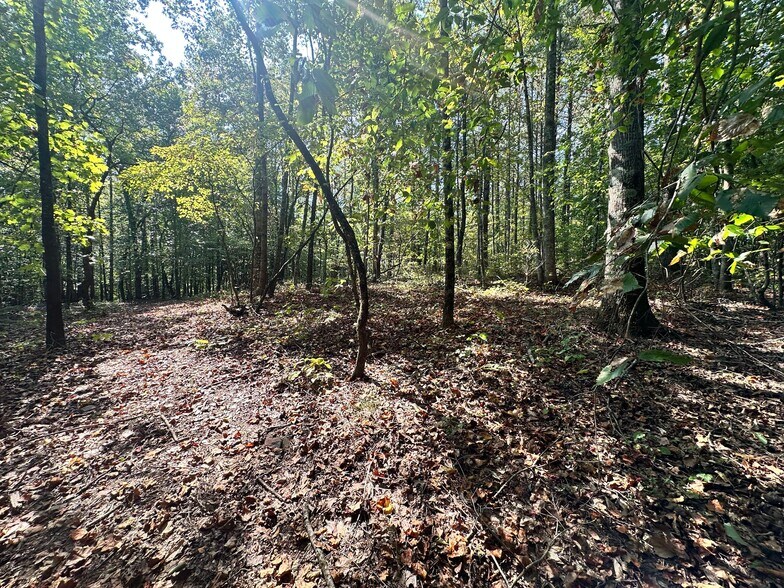 More Photos Of 00 Frix Rd, Cumming Land For Sale