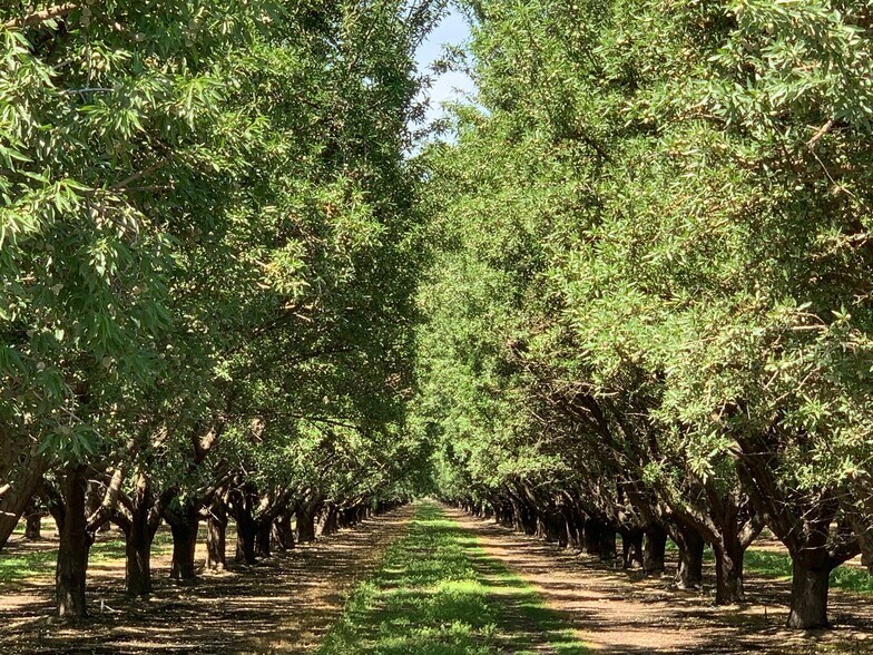 More Photos Of Sec Wildwood Rd & Sherwood Ave, Wasco Land For Sale