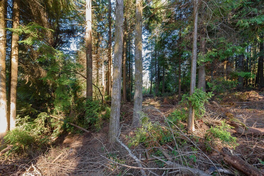 More Photos Of 0 Newmark ave, North Bend Land For Sale