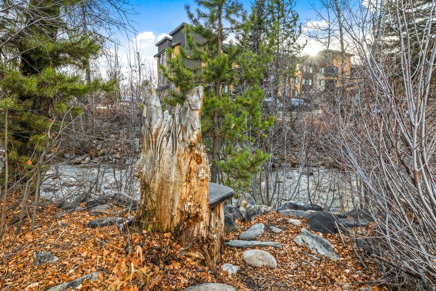 More Photos Of 505 Anglers Dr, Steamboat Springs Medical For Sale