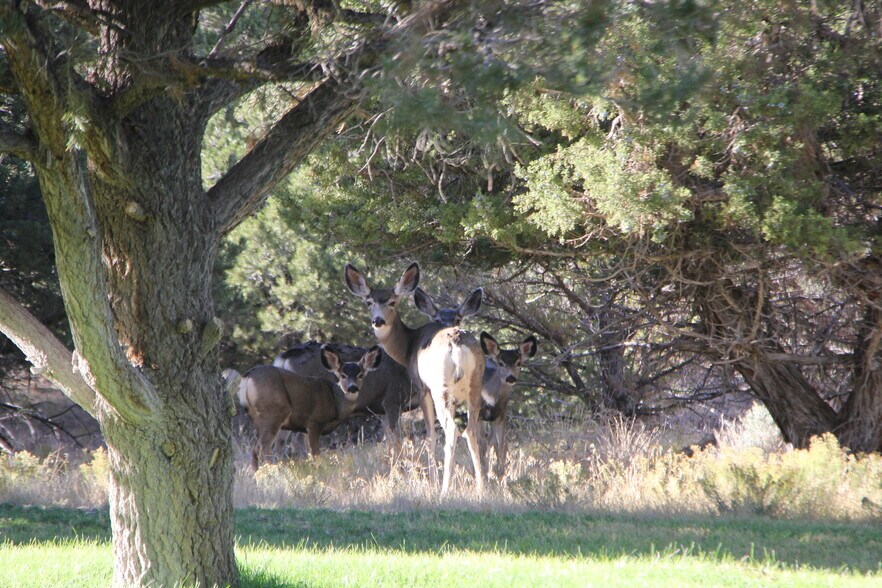 More Photos Of 1627 950 South, Parowan Land For Sale