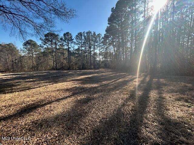 More Photos Of 1144 Dixie Springs Rd, Summit Warehouse For Sale