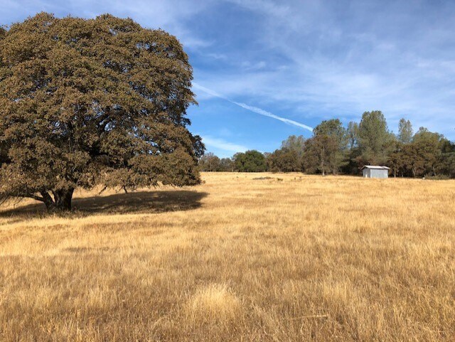 More Photos Of 1484 Oregon Gulch, Oroville Land For Sale